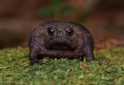 Screenshot 2024-03-01 124424.png