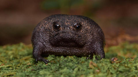 Screenshot 2024-03-01 124424.png